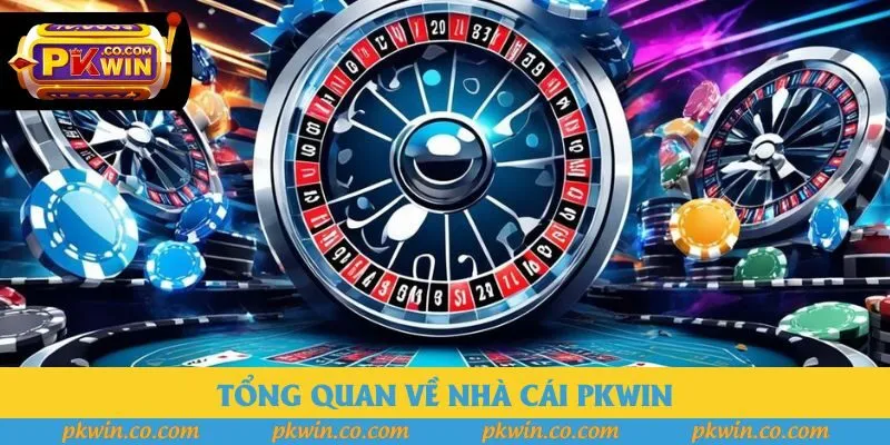 Tổng quan về nhà cái PKWIN Tổng quan về nhà cái PKWIN