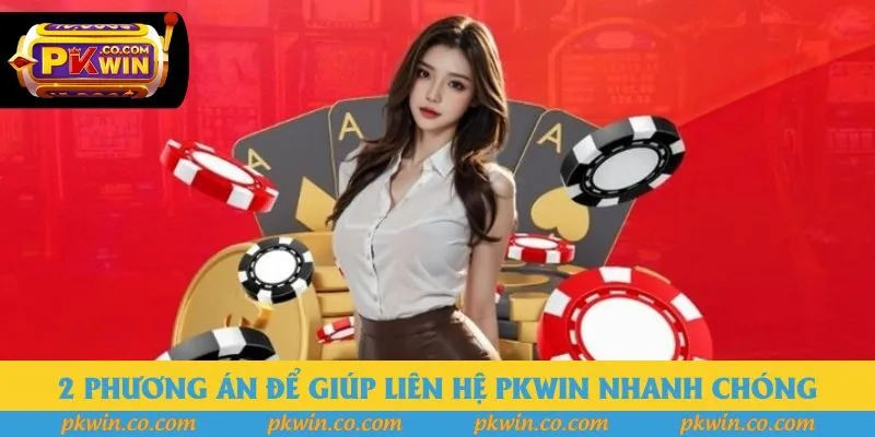 2 phương án để giúp liên hệ PKWIN nhanh chóng 2 phương án để giúp liên hệ PKWIN nhanh chóng