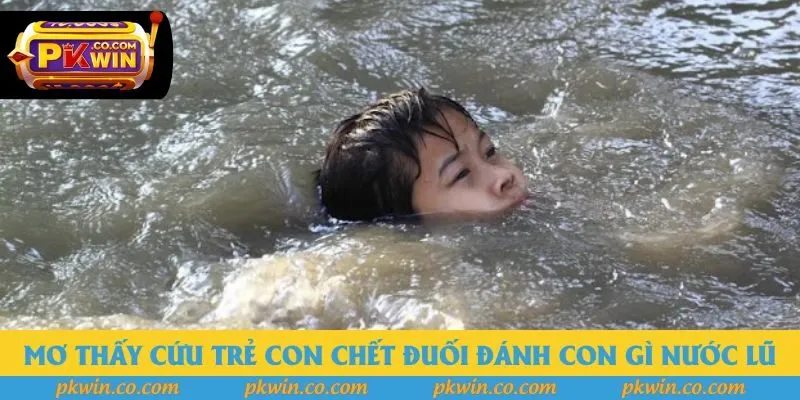 Mơ thấy cứu trẻ con chết đuối đánh con gì đối với nước lũ Mơ thấy cứu trẻ con chết đuối đánh con gì đối với nước lũ